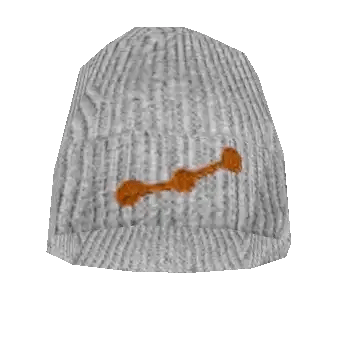 ORION Beanie