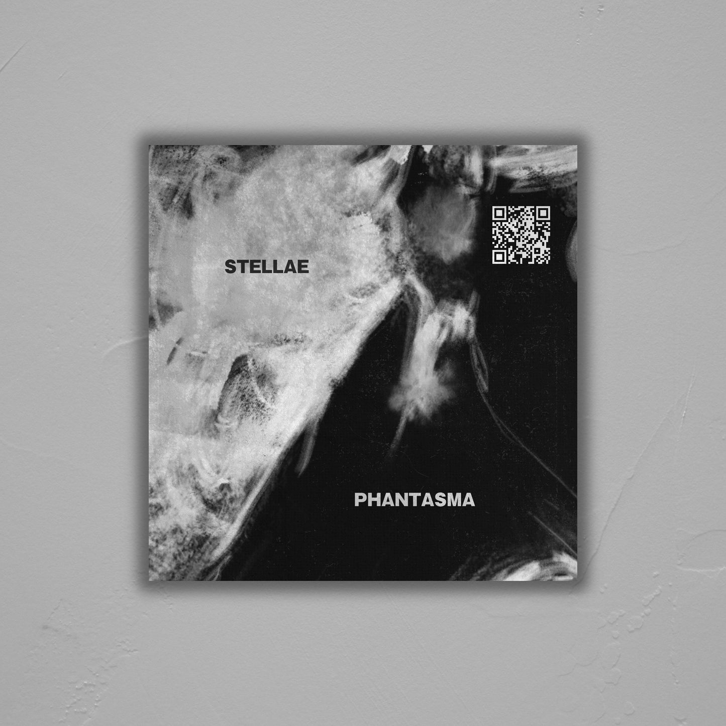 STELLAE PHANTASMA CD